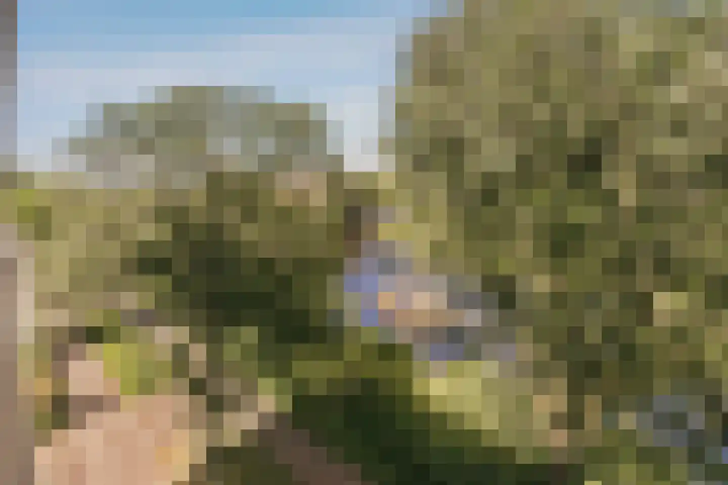 Wolbrantskerkweg 201 A Amsterdam thumbnail 32