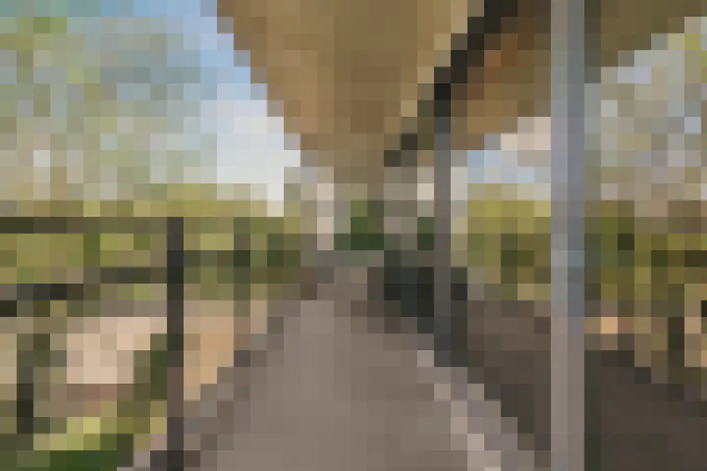 Wolbrantskerkweg 201 A Amsterdam thumbnail 35