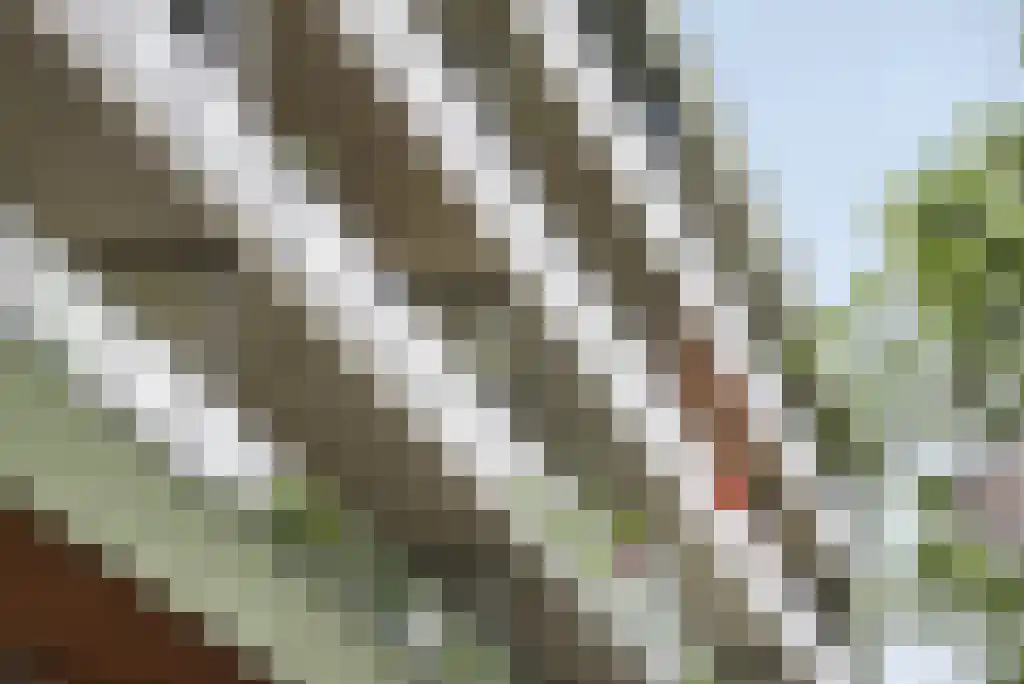 Wolbrantskerkweg 201 A Amsterdam thumbnail 37