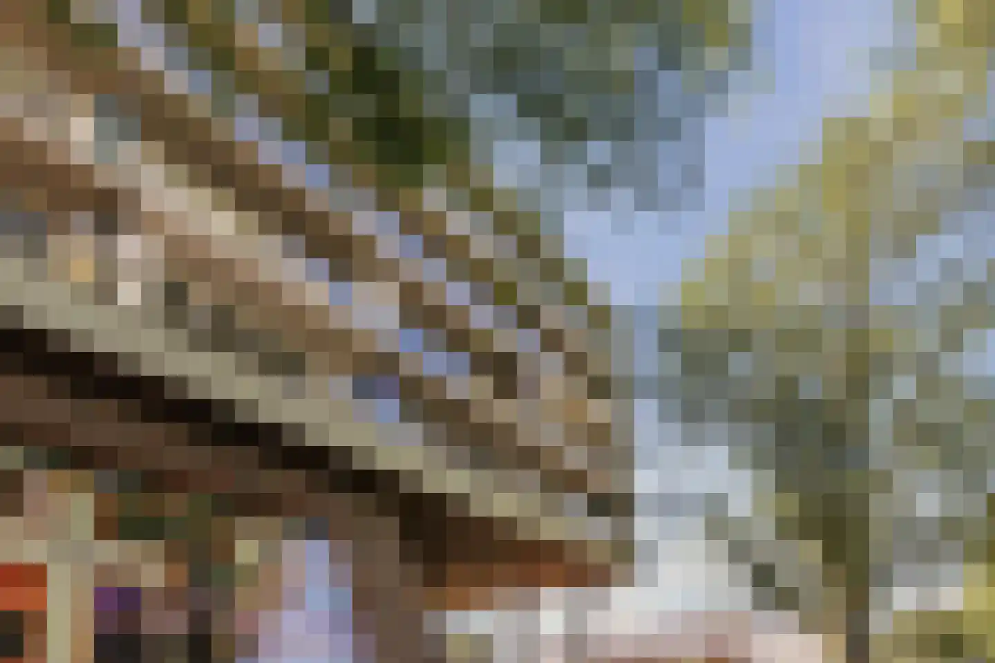 Wolbrantskerkweg 201 A Amsterdam thumbnail 44