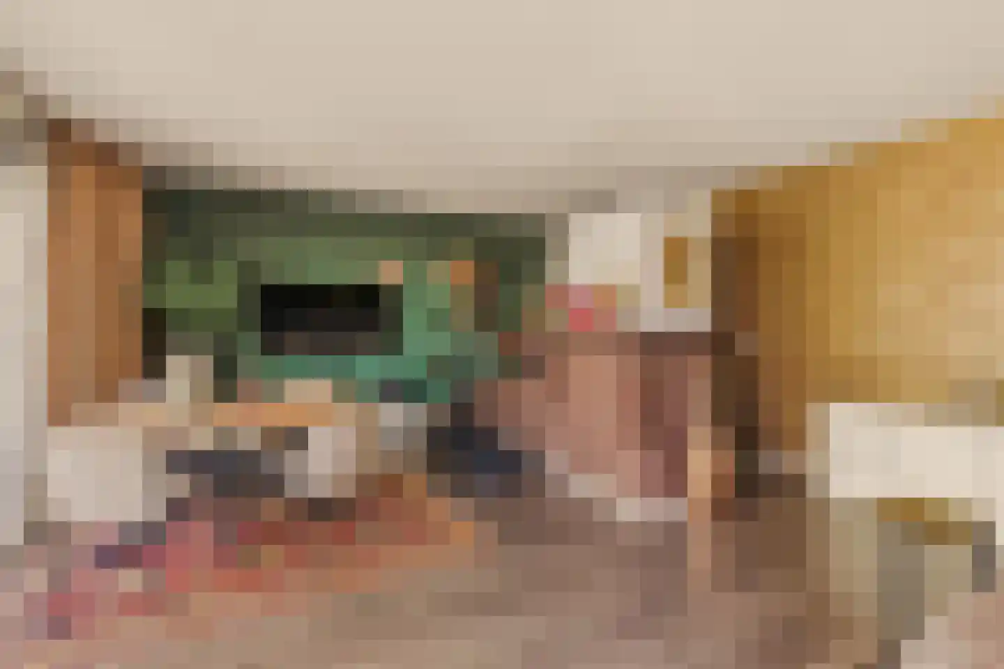 Wolbrantskerkweg 201 A Amsterdam thumbnail 7