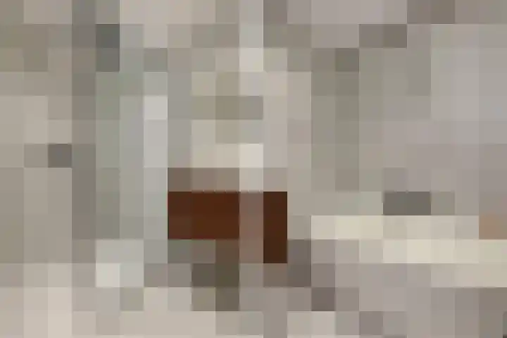 Wolbrantskerkweg 48 G Amsterdam thumbnail 36