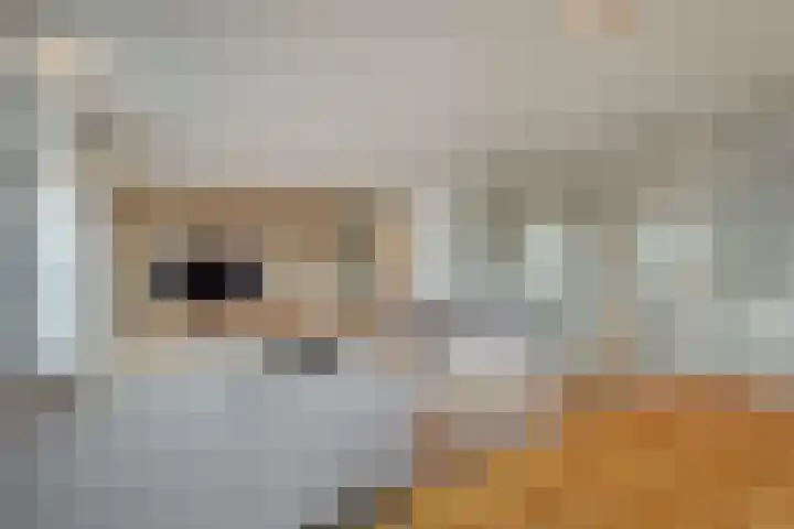 Wolbrantskerkweg 48 G Amsterdam thumbnail 8