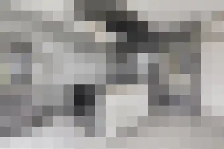 Wolbrantskerkweg 48 H Amsterdam thumbnail 14