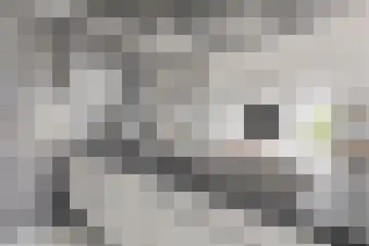 Wolbrantskerkweg 48 H Amsterdam thumbnail 16