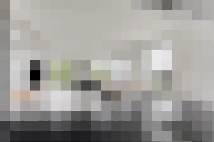 Wolbrantskerkweg 48 H Amsterdam thumbnail 17