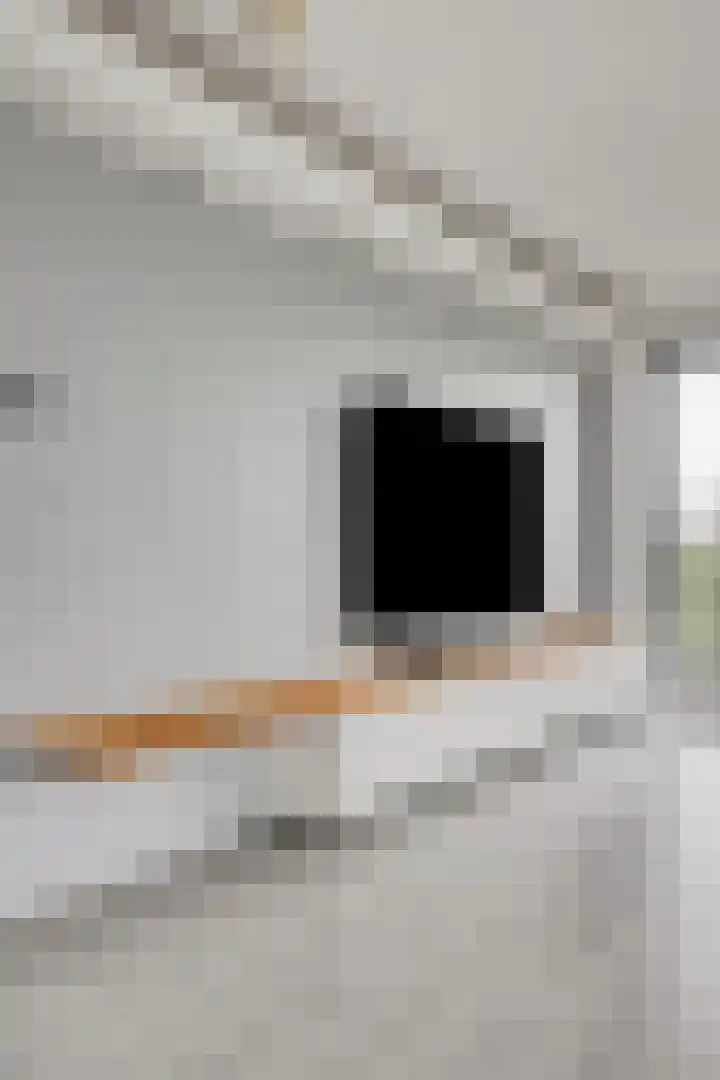 Wolbrantskerkweg 48 H Amsterdam thumbnail 18