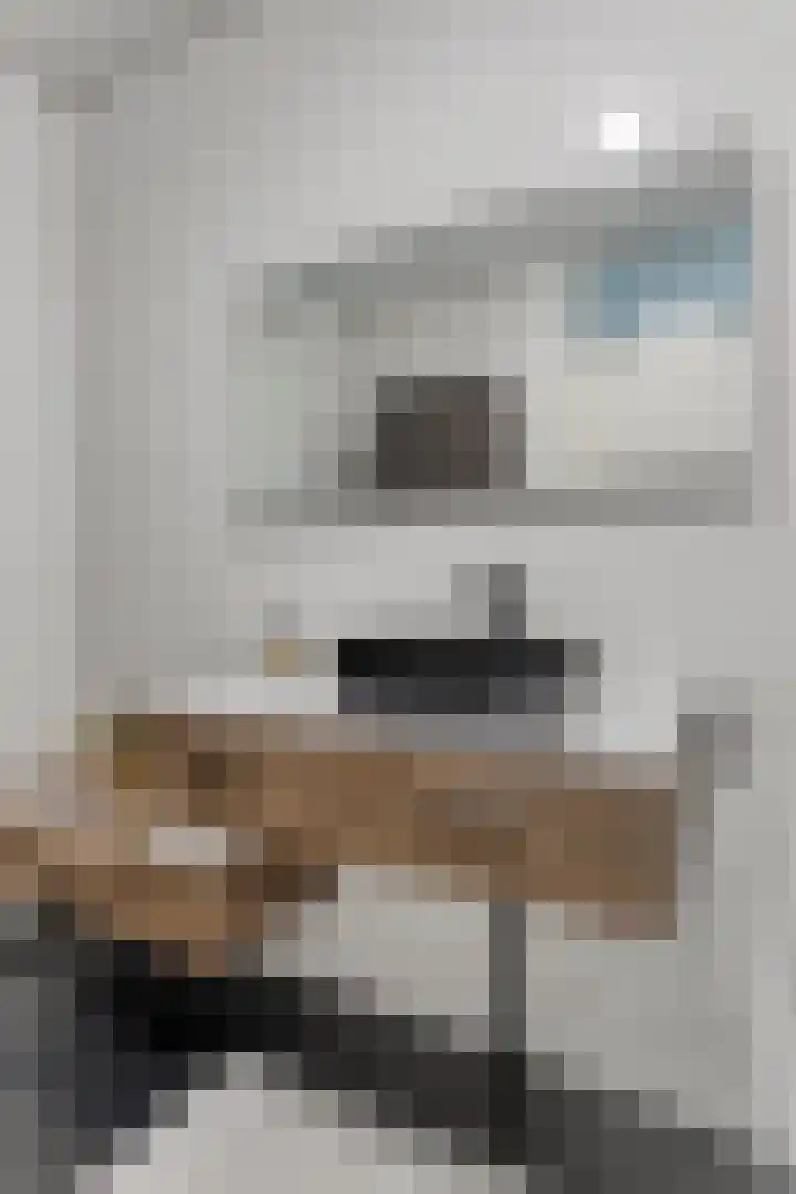 Wolbrantskerkweg 48 H Amsterdam thumbnail 27