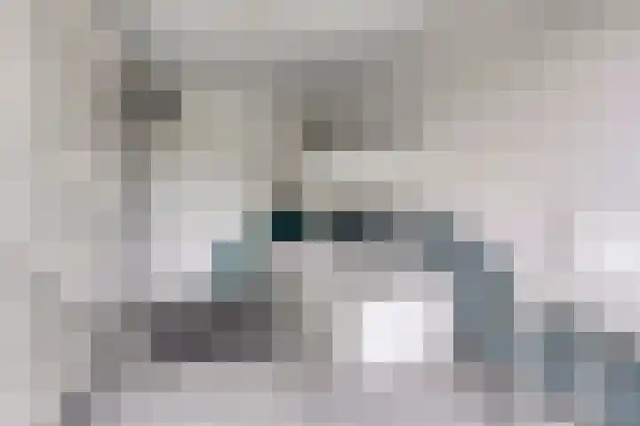 Wolbrantskerkweg 48 H Amsterdam thumbnail 30