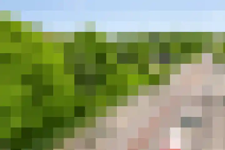 Wolbrantskerkweg 48 H Amsterdam thumbnail 32
