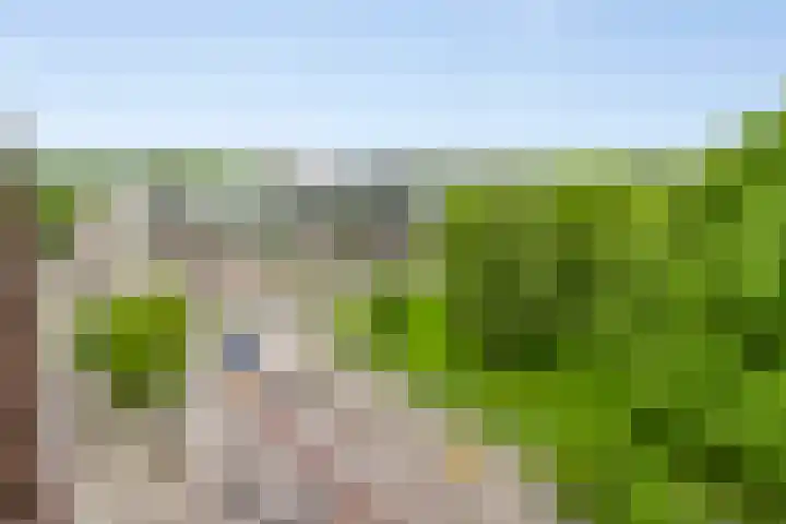 Wolbrantskerkweg 48 H Amsterdam thumbnail 33