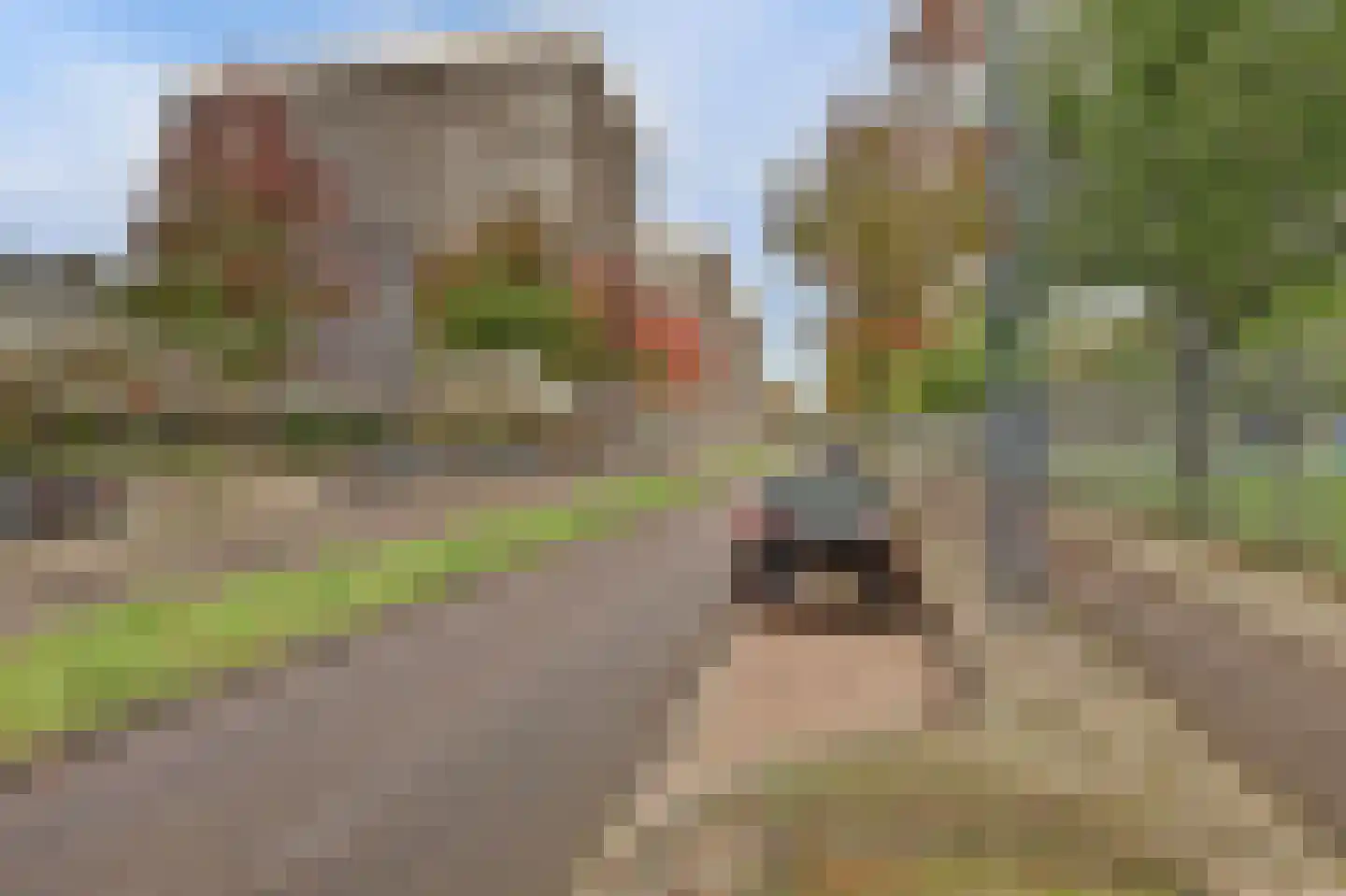 Wolbrantskerkweg 74 F Amsterdam thumbnail 37
