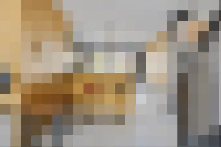 Wolbrantskerkweg 79 Amsterdam thumbnail 16