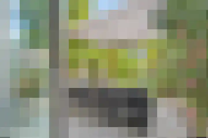 Wolbrantskerkweg 79 Amsterdam thumbnail 32