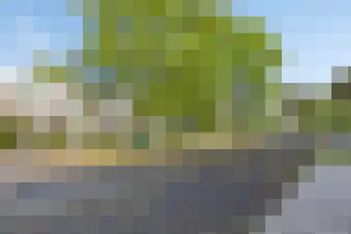 Wolbrantskerkweg 79 Amsterdam thumbnail 36