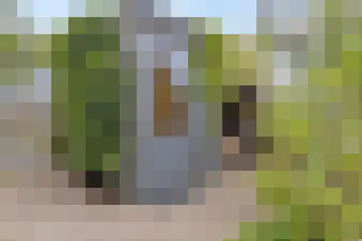 Wolbrantskerkweg 79 Amsterdam thumbnail 37