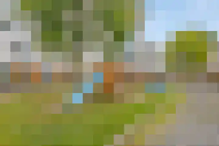 Wolbrantskerkweg 79 Amsterdam thumbnail 41