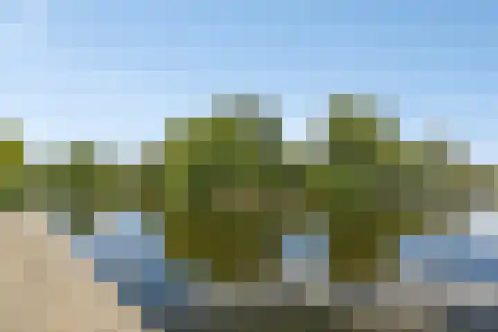 Wolbrantskerkweg 79 Amsterdam thumbnail 42
