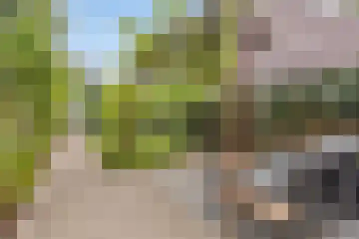 Wolbrantskerkweg 79 Amsterdam thumbnail 5