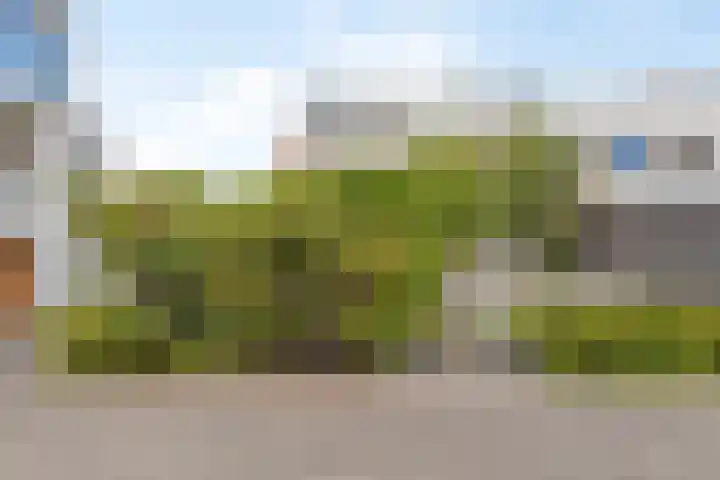 Wolbrantskerkweg 79 Amsterdam thumbnail 6