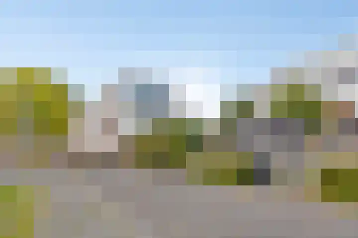 Wolbrantskerkweg 79 Amsterdam thumbnail 7