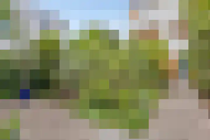 Wolbrantskerkweg 79 Amsterdam thumbnail 8