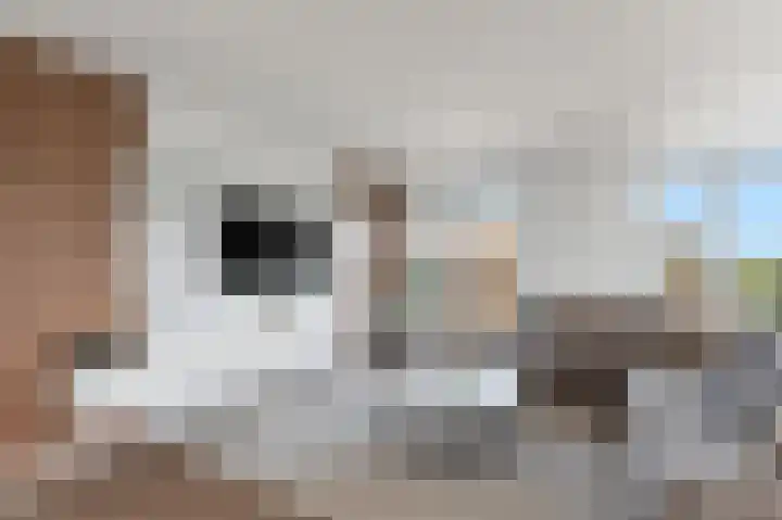 Wolbrantskerkweg 80 G Amsterdam thumbnail 11