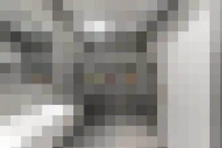 Wolbrantskerkweg 80 G Amsterdam thumbnail 14