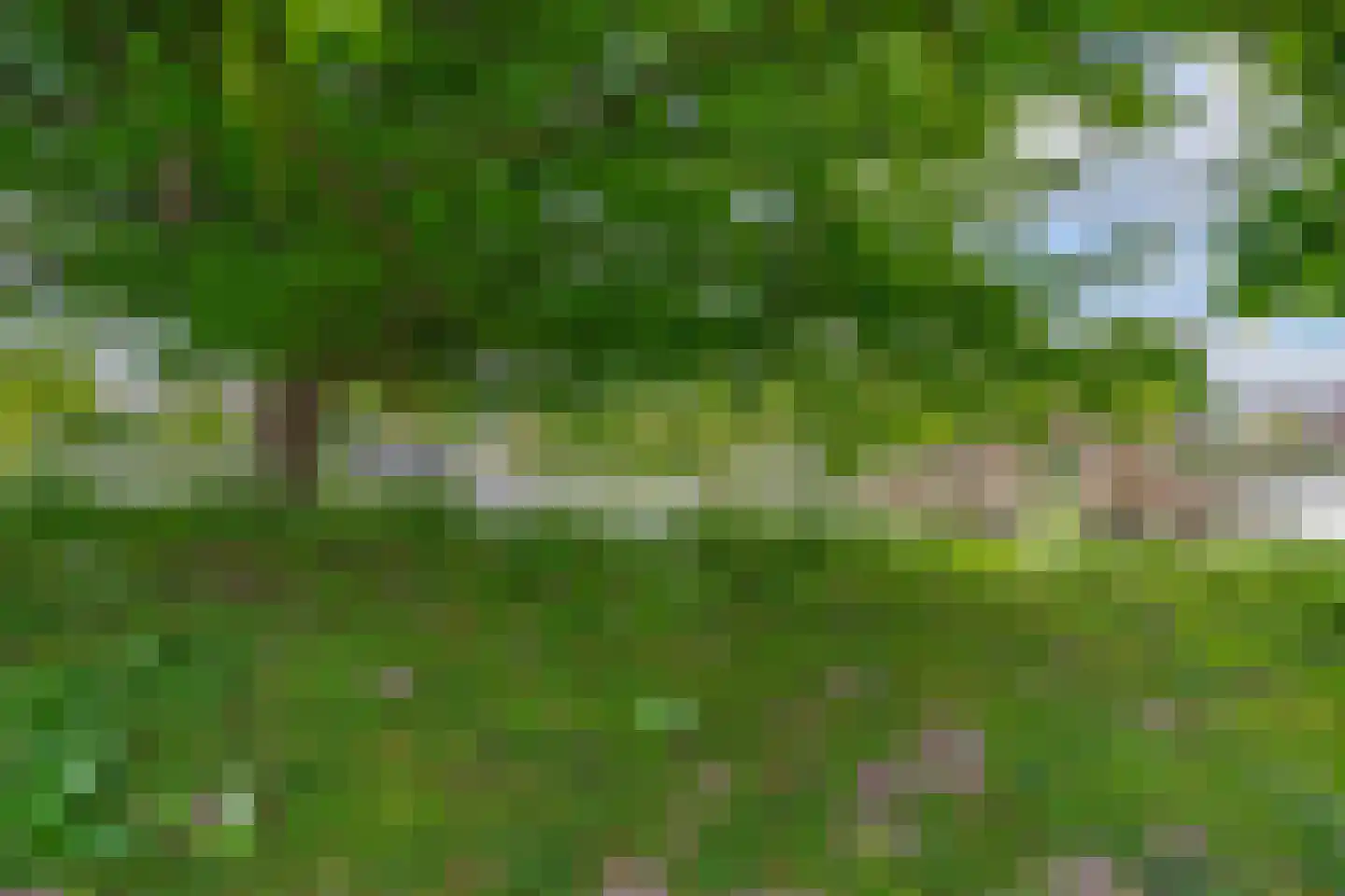 Wolbrantskerkweg 93 Amsterdam thumbnail 57