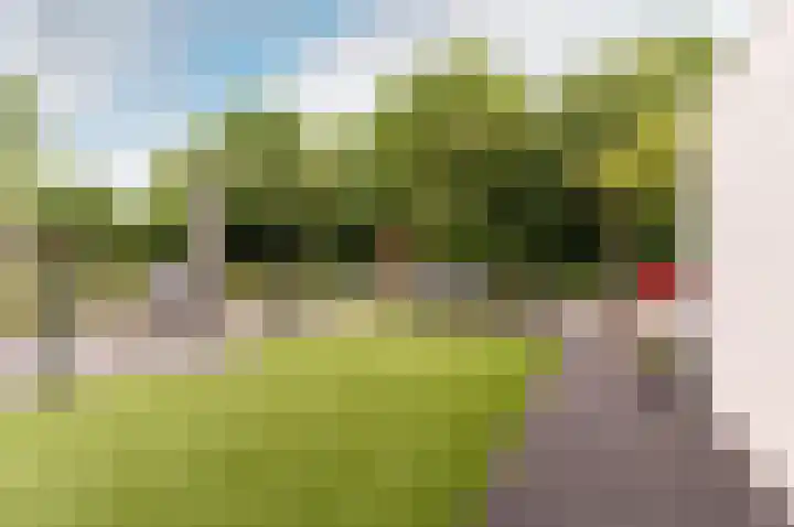 Wold 10 1 Lelystad thumbnail 25