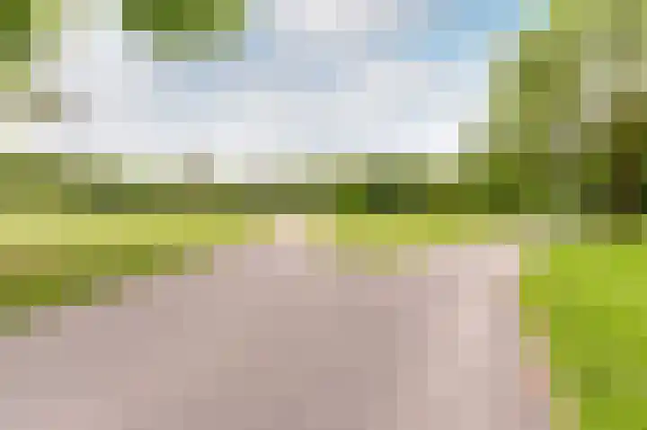 Wold 10 1 Lelystad thumbnail 29