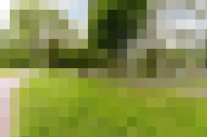 Wold 10 1 Lelystad thumbnail 30