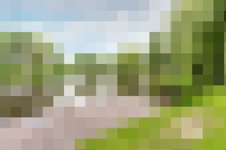 Wold 10 1 Lelystad thumbnail 31