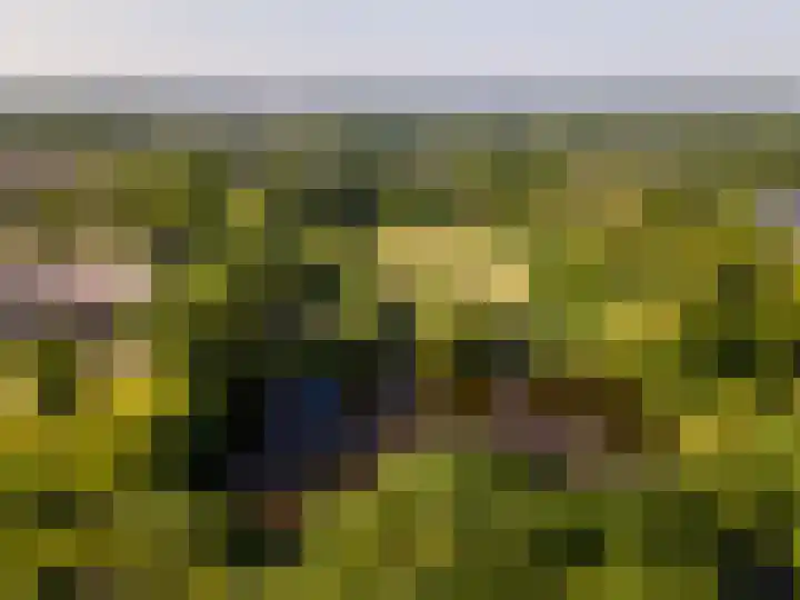 Wold 10 1 Lelystad thumbnail 32