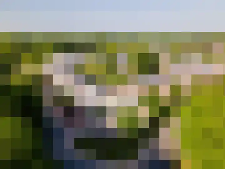 Wold 10 1 Lelystad thumbnail 34