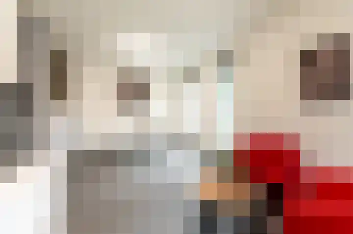 Wold 10 1 Lelystad thumbnail 9