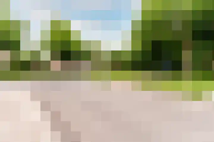 Wold 10 10 1 Lelystad thumbnail 28