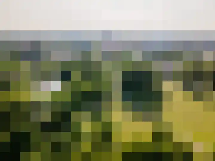 Wold 10 10 1 Lelystad thumbnail 33