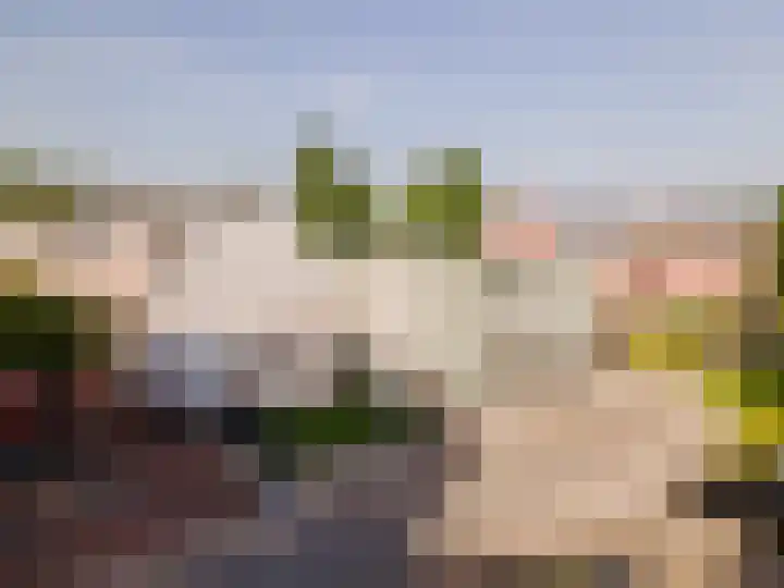 Wold 10 10 1 Lelystad thumbnail 36