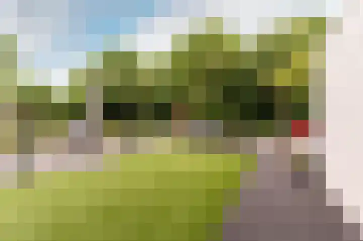 Wold 10 10 1 Lelystad thumbnail 6