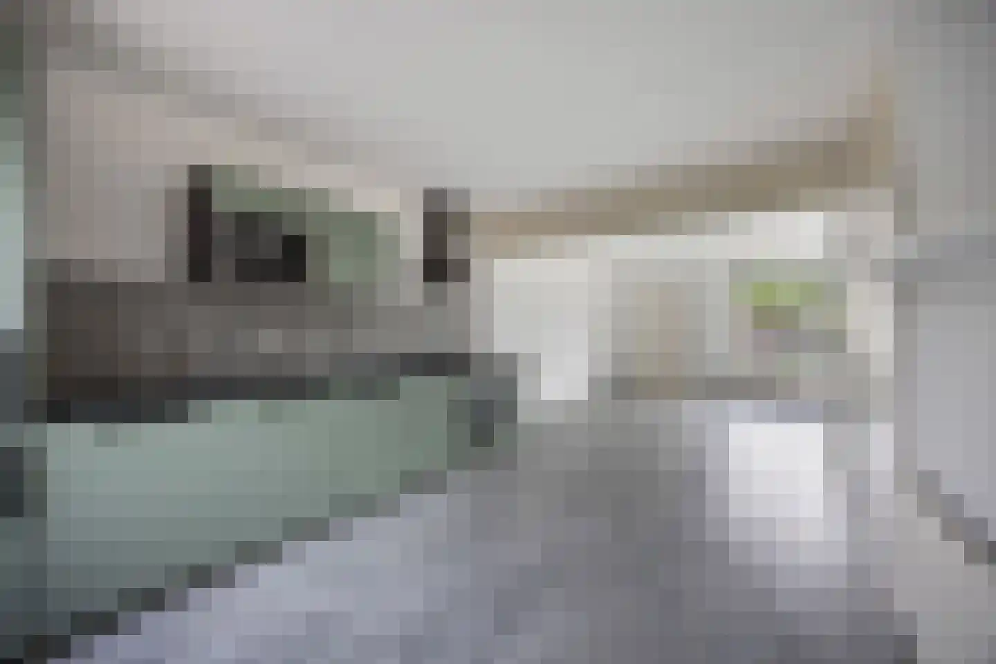 Wold 15 30 Lelystad thumbnail 4