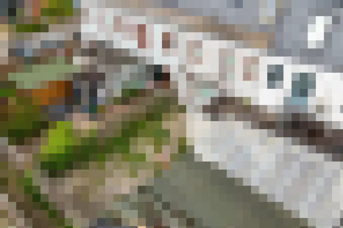 Wold 15 30 Lelystad thumbnail 49
