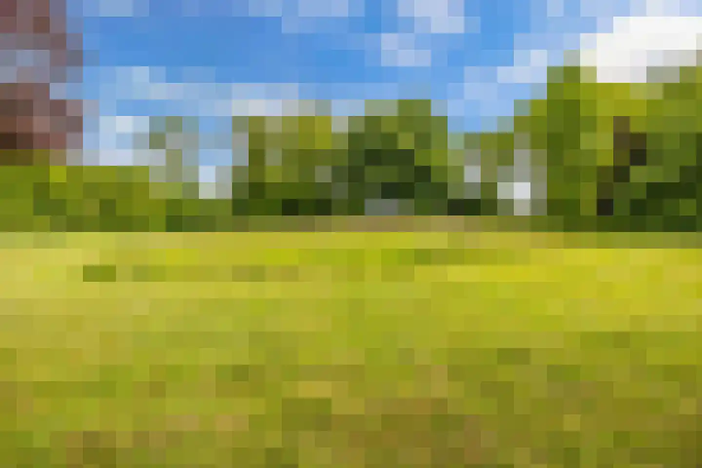 Wold 15 30 Lelystad thumbnail 50