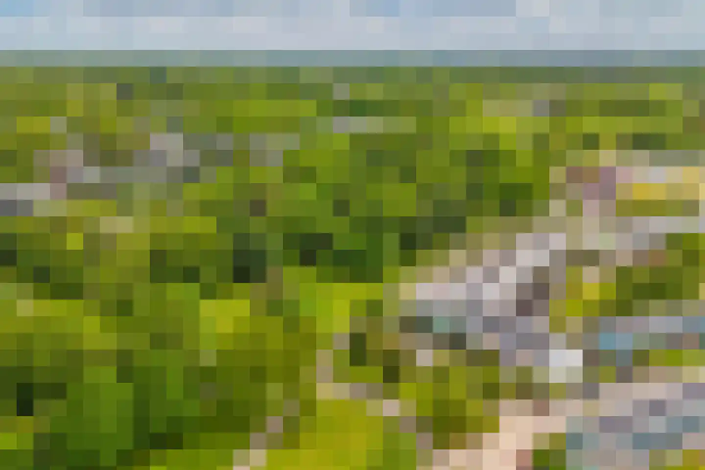 Wold 15 30 Lelystad thumbnail 56