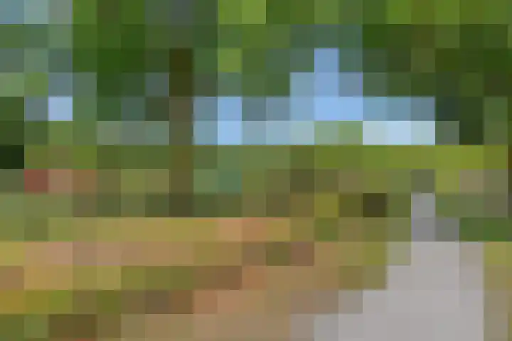 Wold 20 20 27 Lelystad thumbnail 36