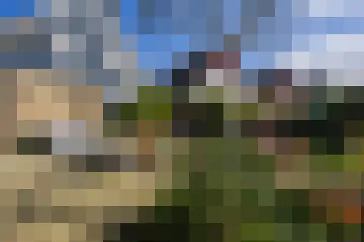 Wold 20 20 30 Lelystad thumbnail 25