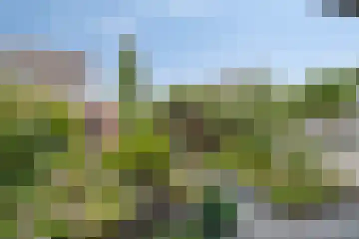 Wold 20 20 65 Lelystad thumbnail 32