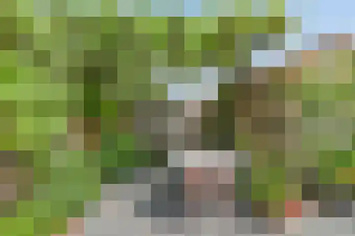 Wold 20 20 65 Lelystad thumbnail 34