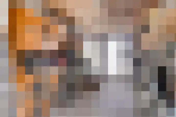 Wold 20 20 65 Lelystad thumbnail 35