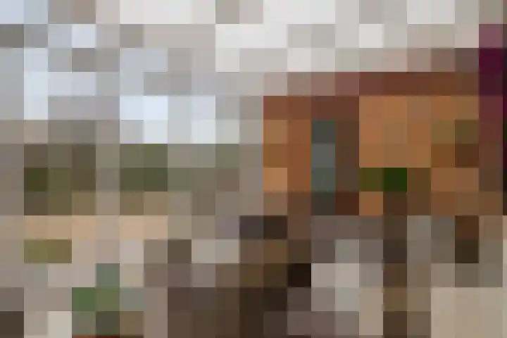 Wold 20 20 72 Lelystad thumbnail 27